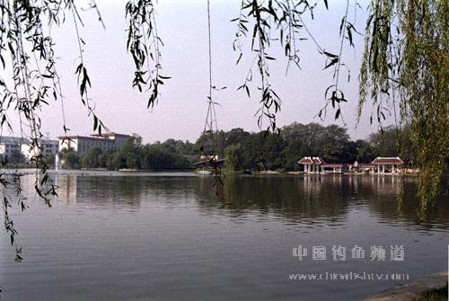 Hefei University